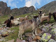 Anello Laghi con Cima di Ponteranica centrale-Lago di Pescegallo da Ca’ San Marco il 21 agosto 2023- FOTOGALLERY